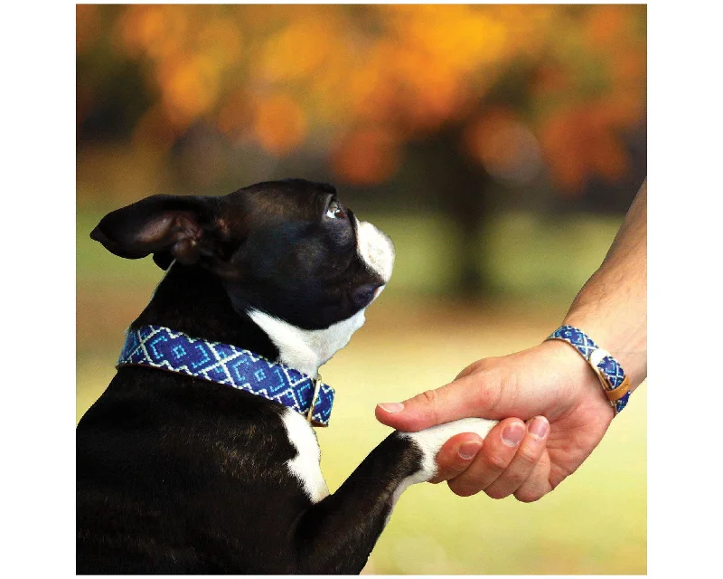 Unique bangles for women -Mucky Pup Friendship Collar & Bracelet Set